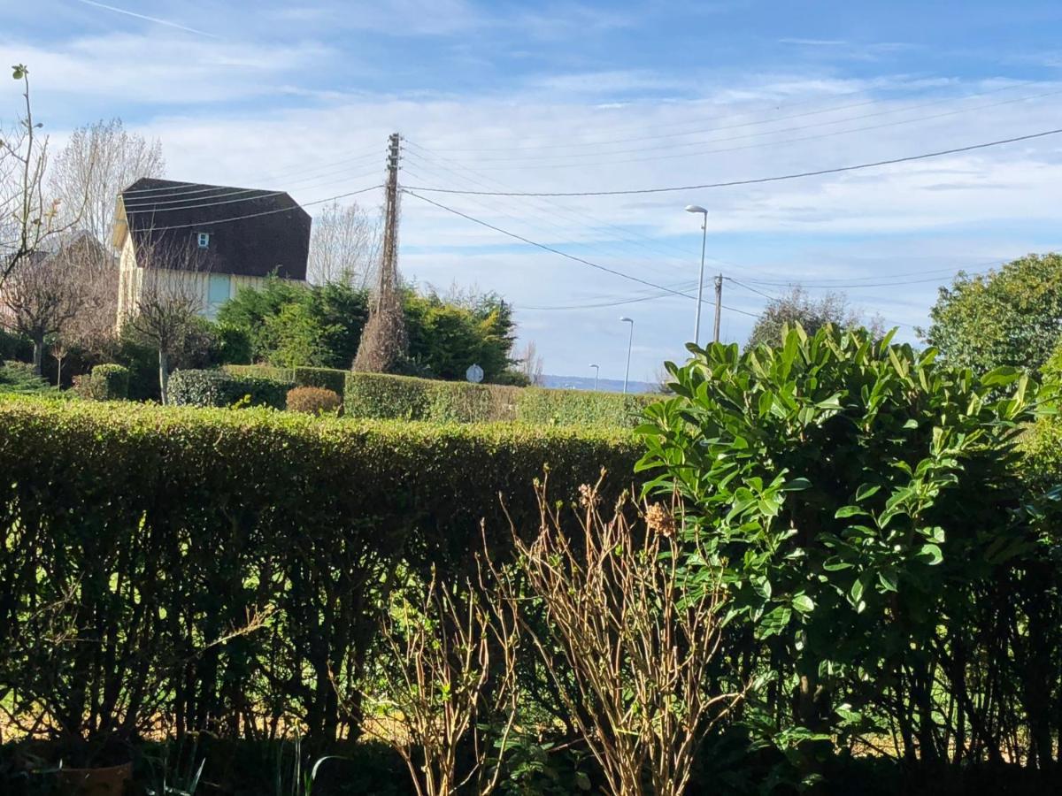 Studio En Rez De Jardin -"Le Petit Nid" A Trouville Exterior photo